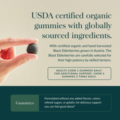 Organic black elderberry blend ingredients for Gaia Gummies