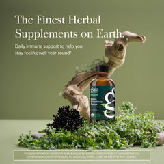 Organic ingredients listed on Gaia Elderberry Syrup label