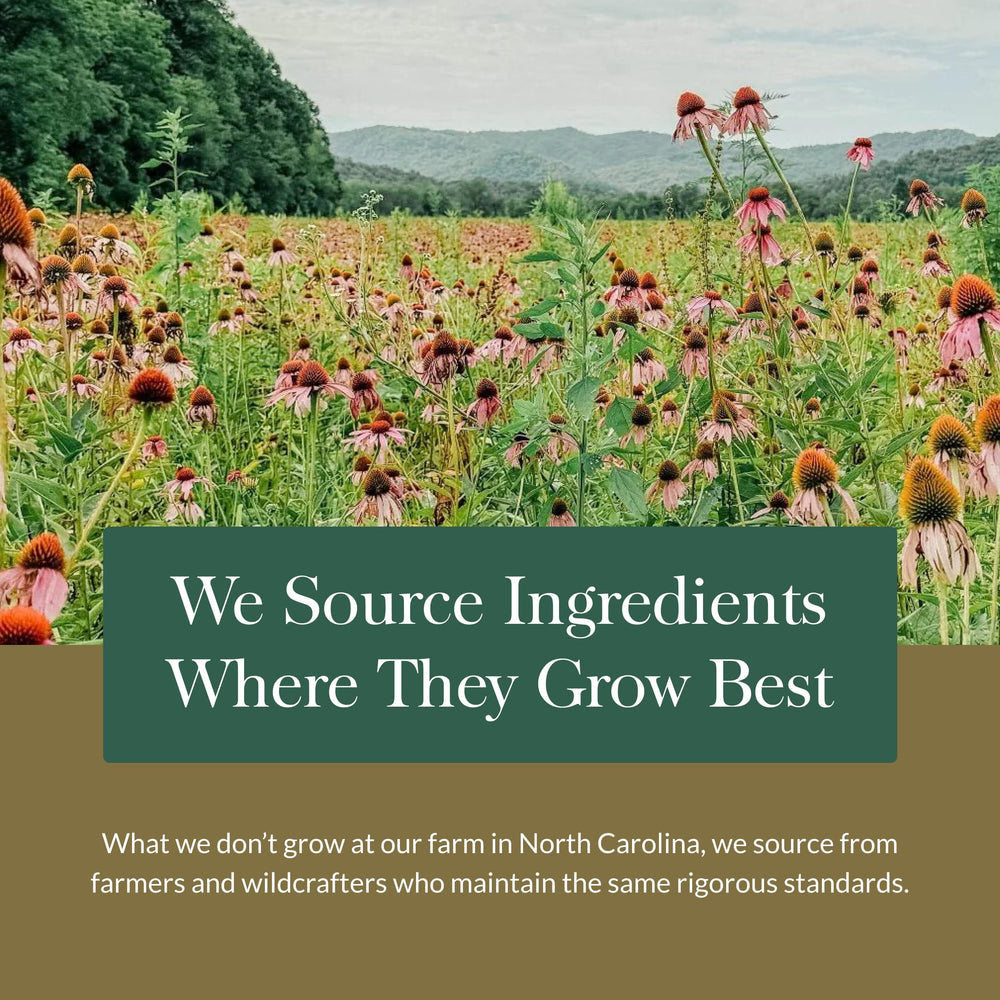 Farm and herbal collection imagery