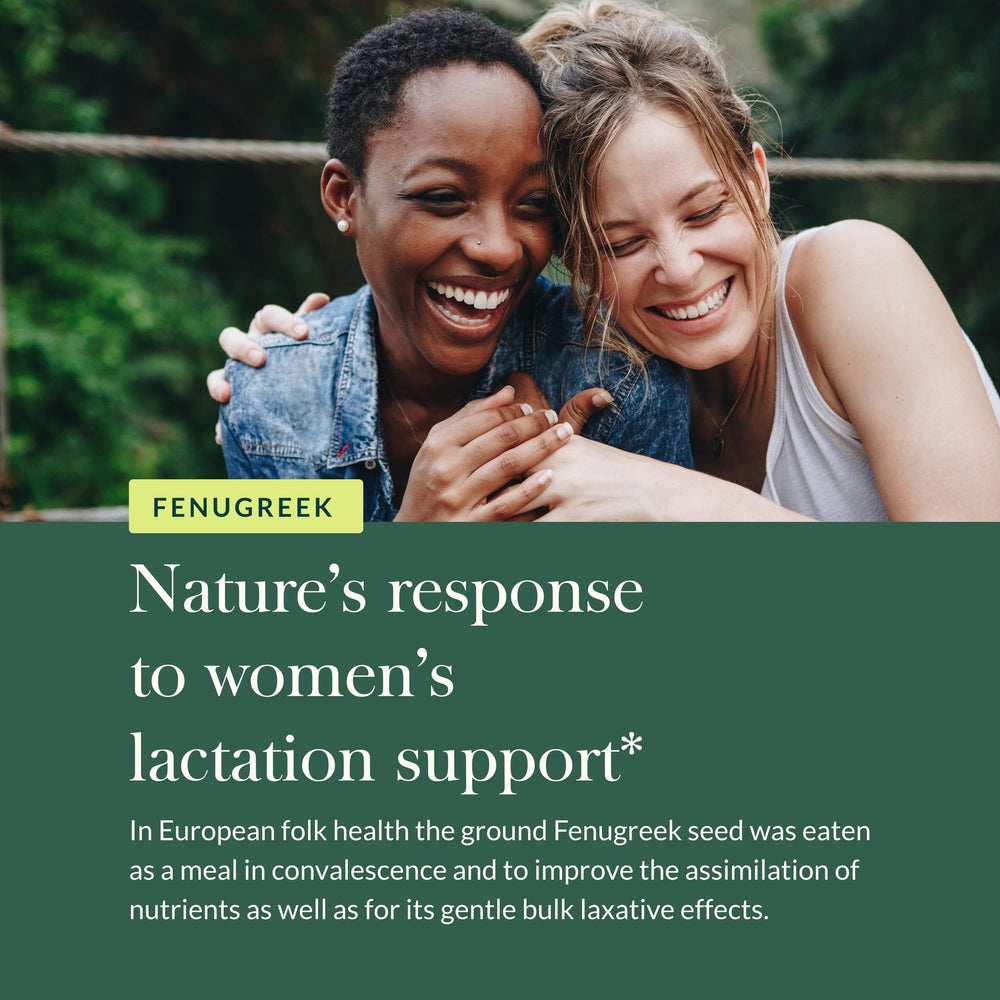 Nursing mother icon representing lactation support