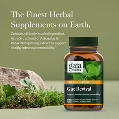 Gut Revival capsules displayed in bottle