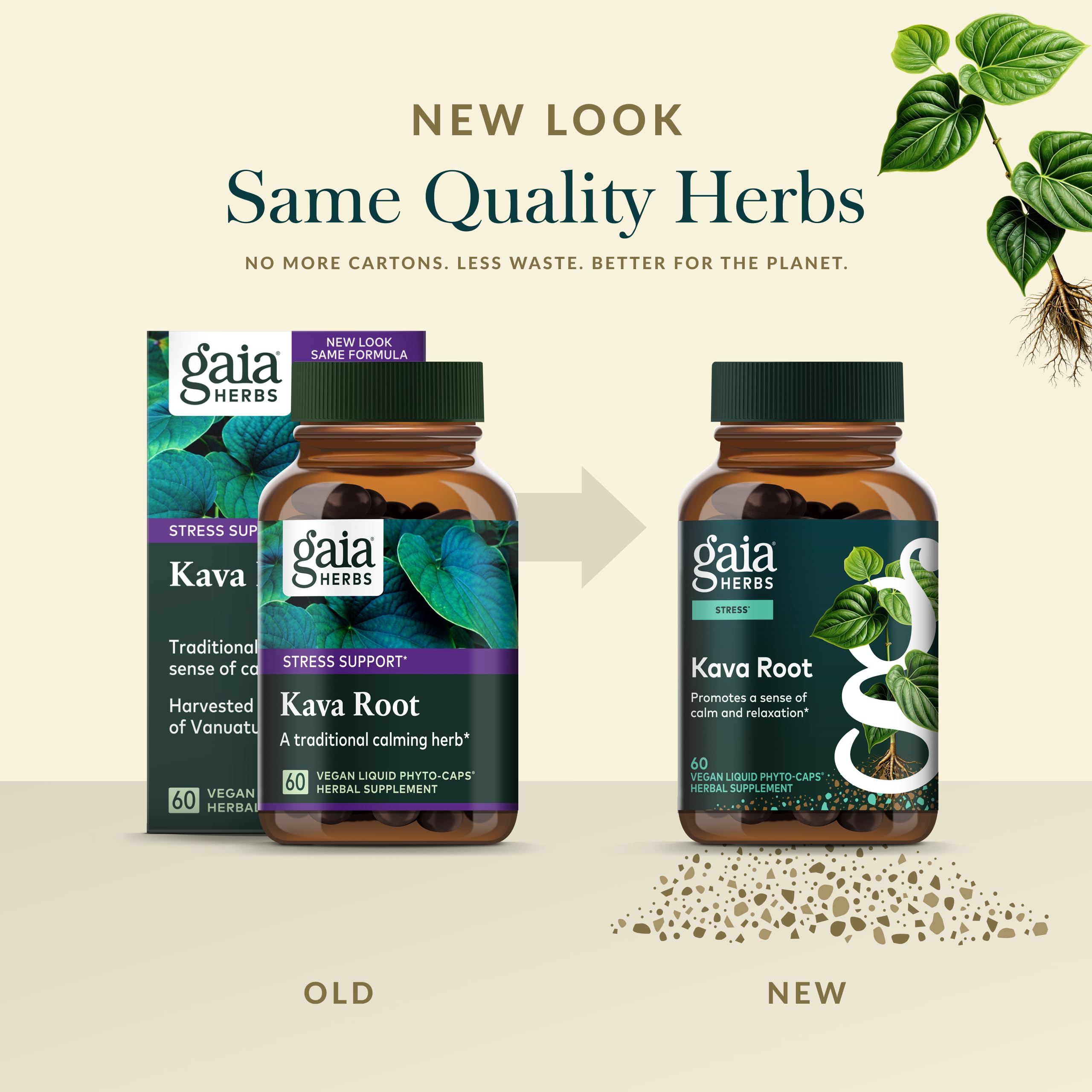 Kava root plant and Gaia Herbs sourcing regions