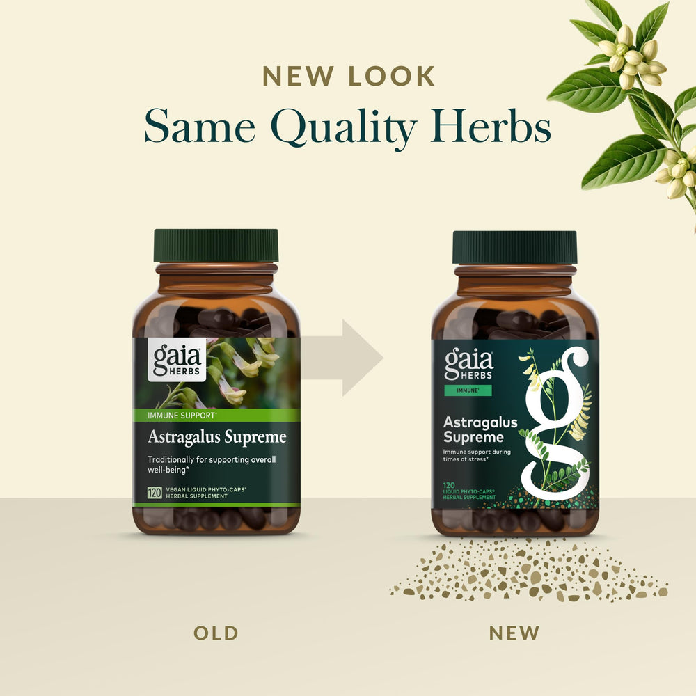 Gaia Herbs ligustrum fruit ingredient close-up showing vitality-support botanicals benefit