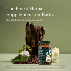 Gaia Herbs Lion's Mane 120-cap capsules close-up