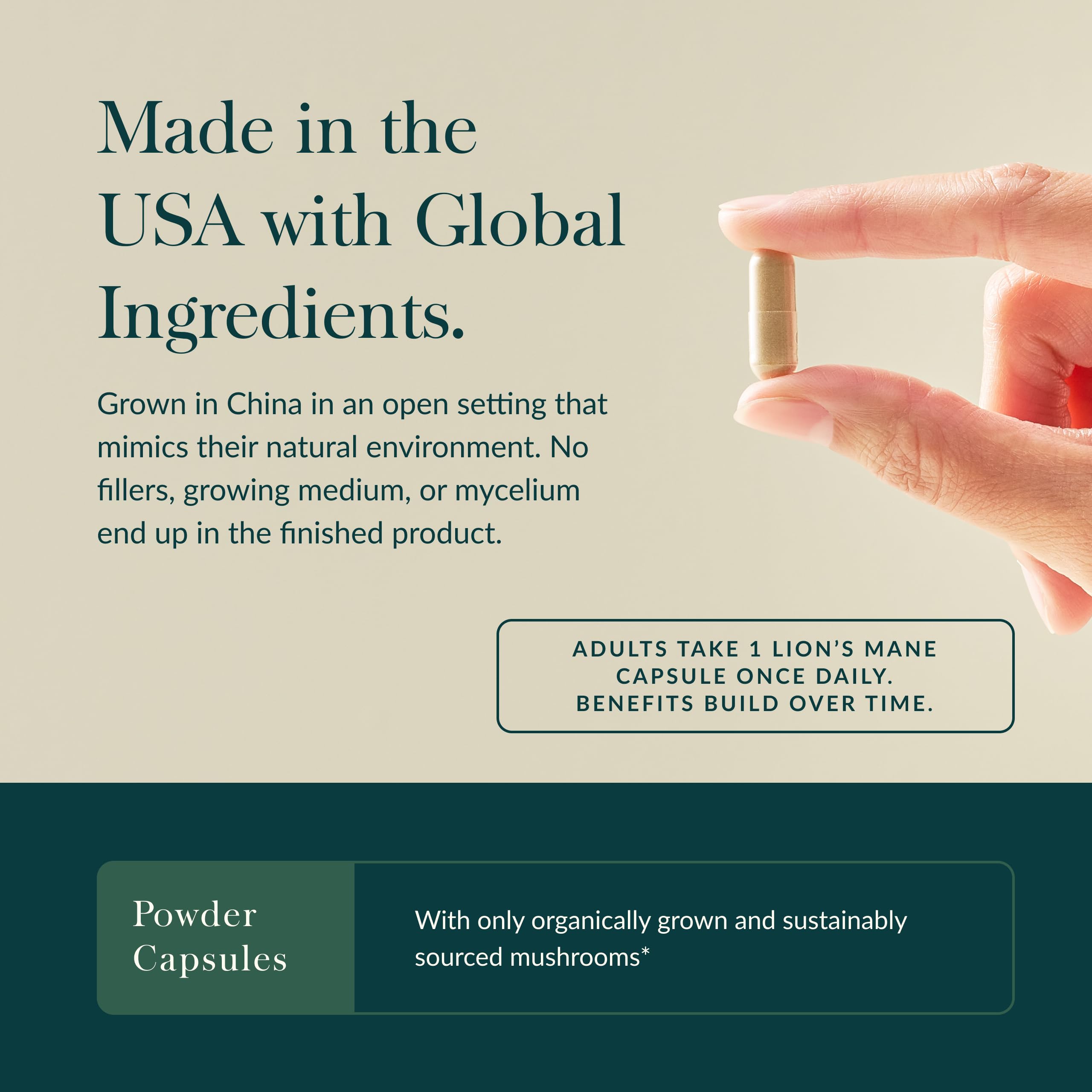 USDA Organic Lion's Mane Gaia Herbs packaging