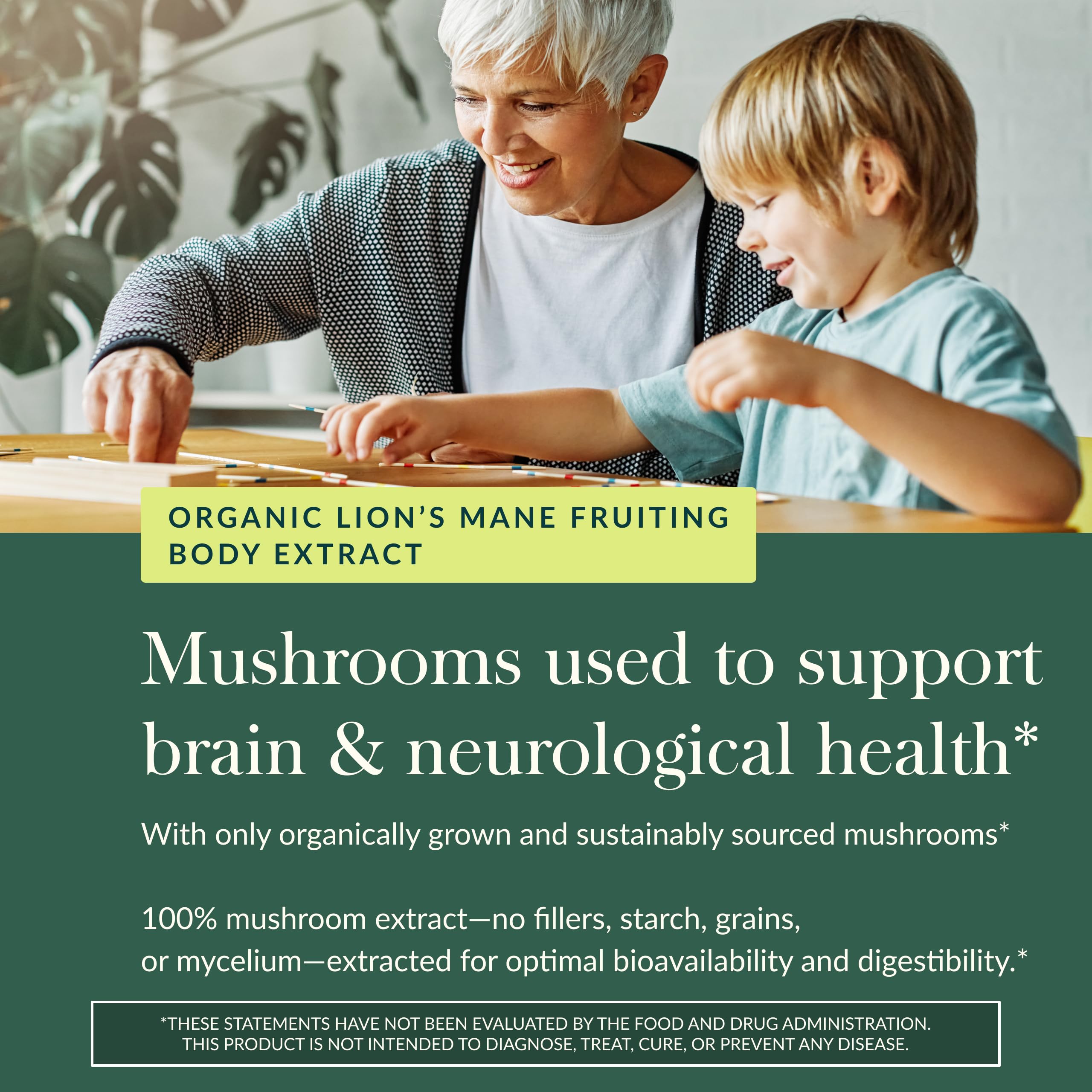 Dual extracted Lion's Mane mushroom potency