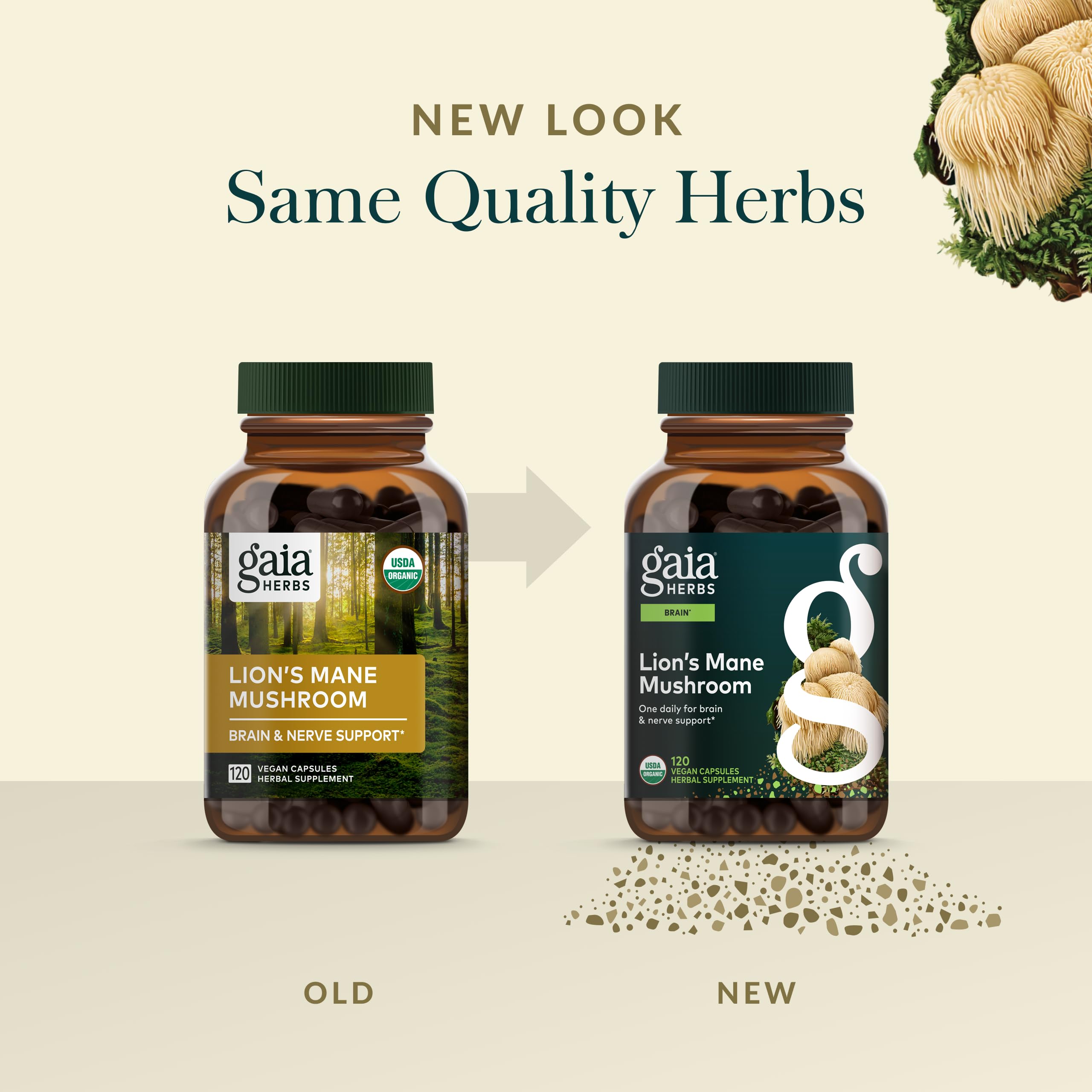 Brain and nerve health concept with Gaia Herbs Lion's Mane
