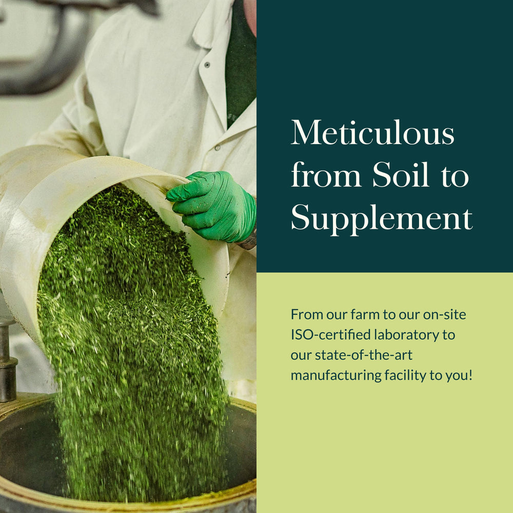 Gaia Herbs Microbiome Cleanse packaging label ensures easy identification.