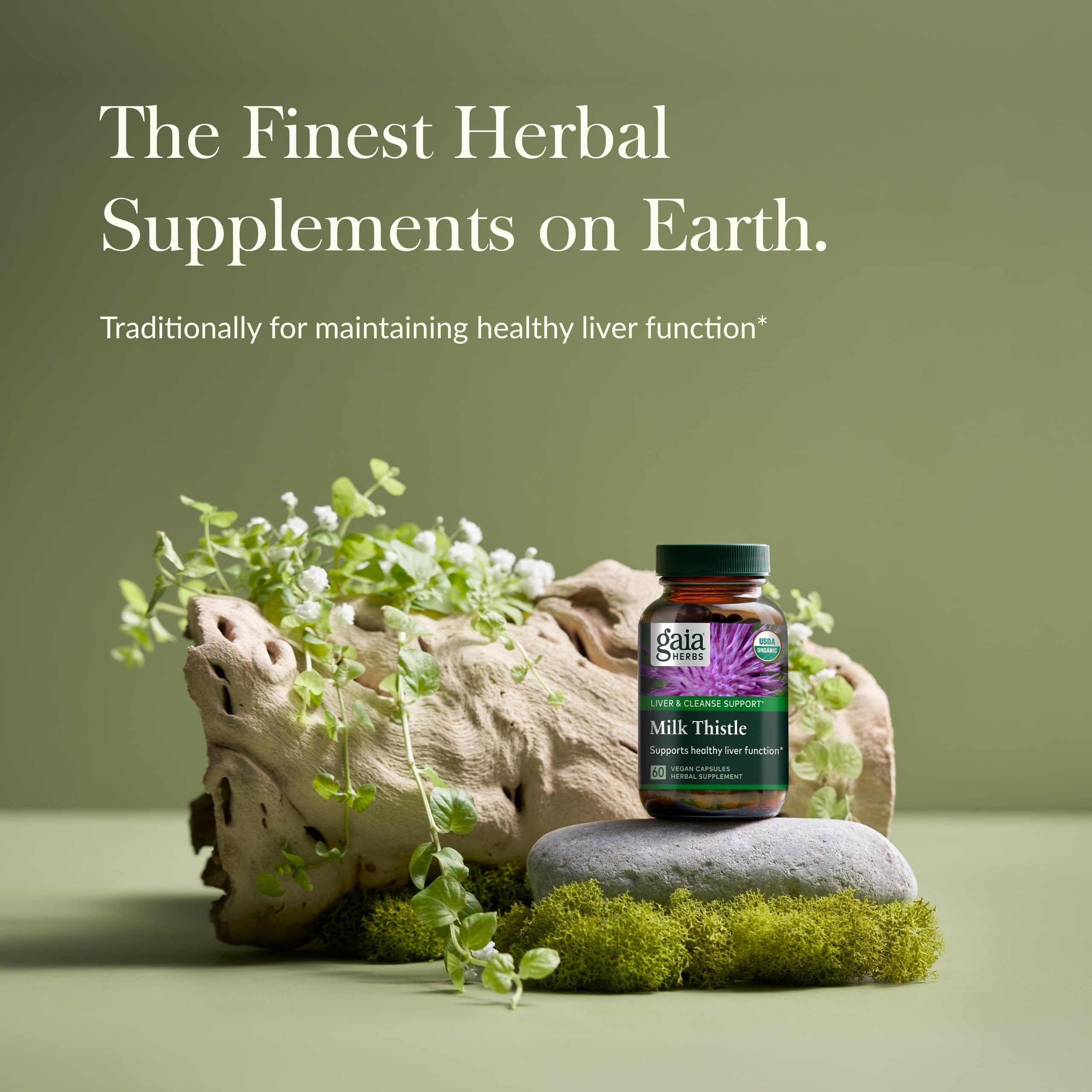 Organic milk thistle plant used in Gaia Herbs supplement