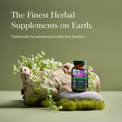 Organic milk thistle plant used in Gaia Herbs supplement
