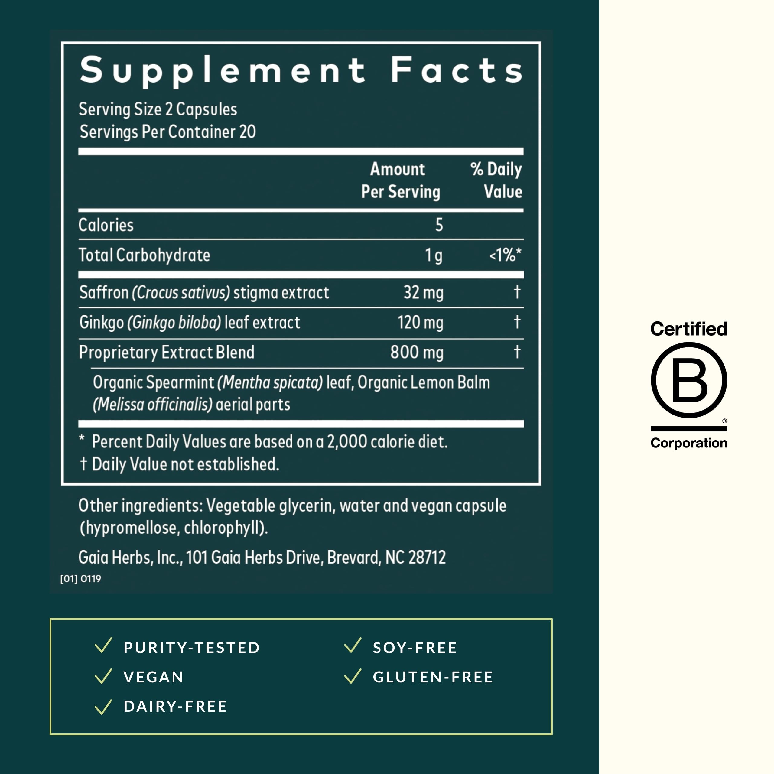 Brain health concept for Gaia Herbs Nootropic Focus