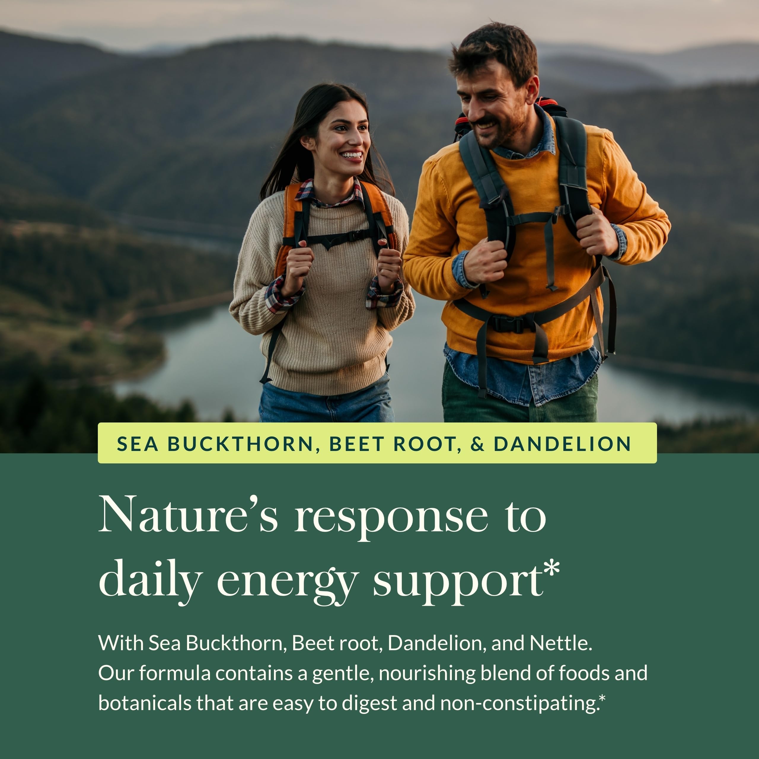 Close-up of nettle leaves used in Gaia Herbs Plant Force Liquid Iron