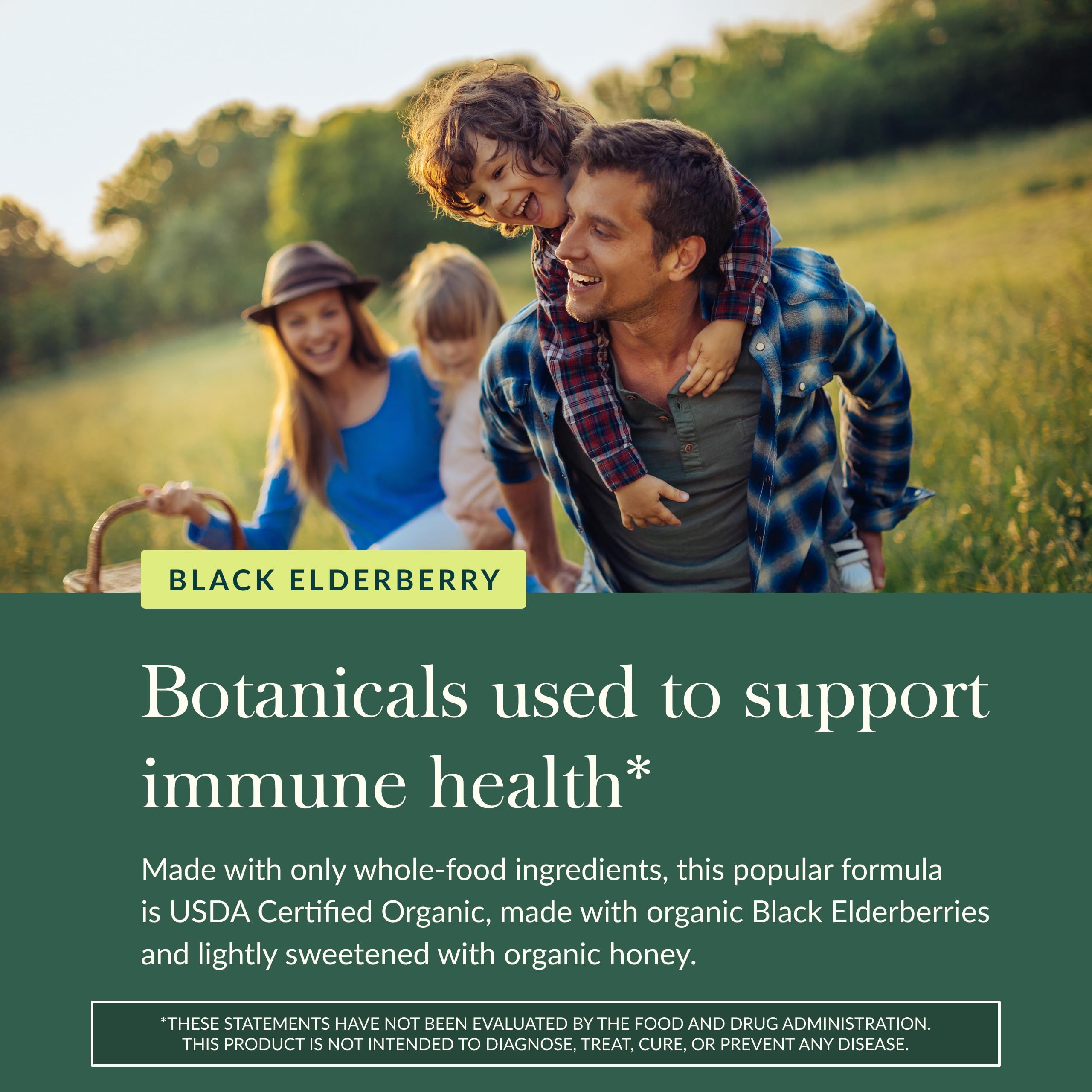 Polyphenols from elderflower and elderberry