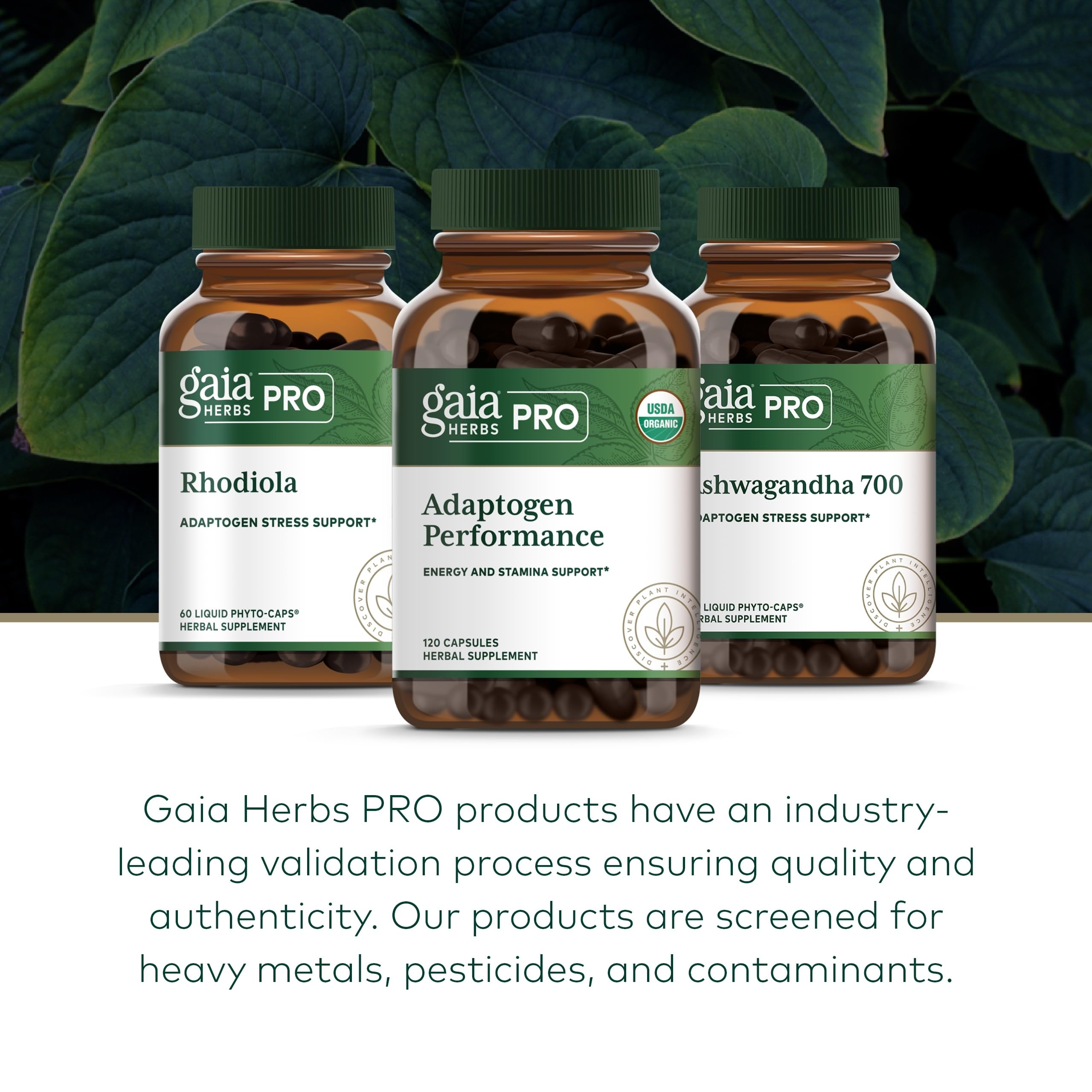 Gaia Herbs fields with multiple herbs cultivated