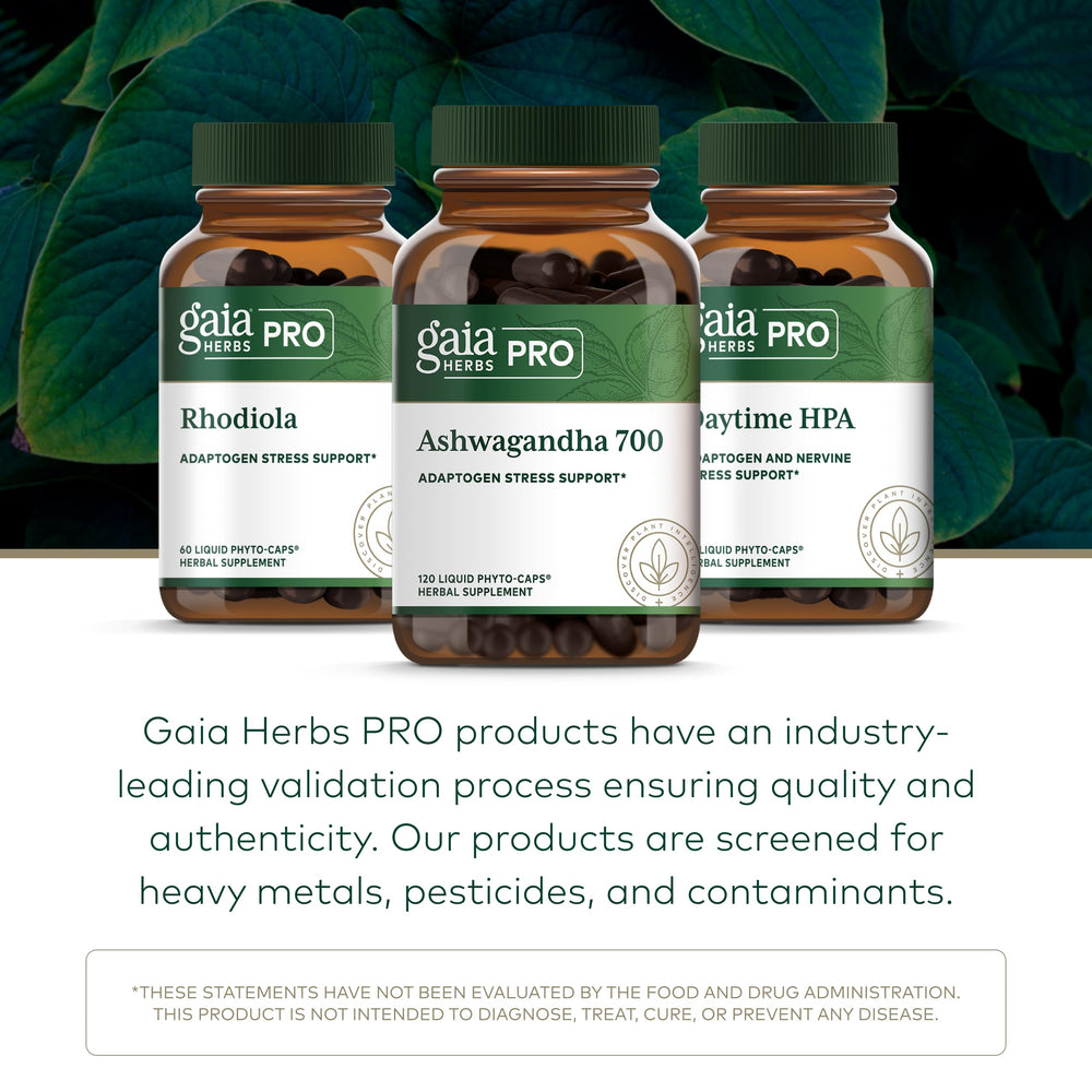 Gaiai Farms regenerative organic land in North Carolina