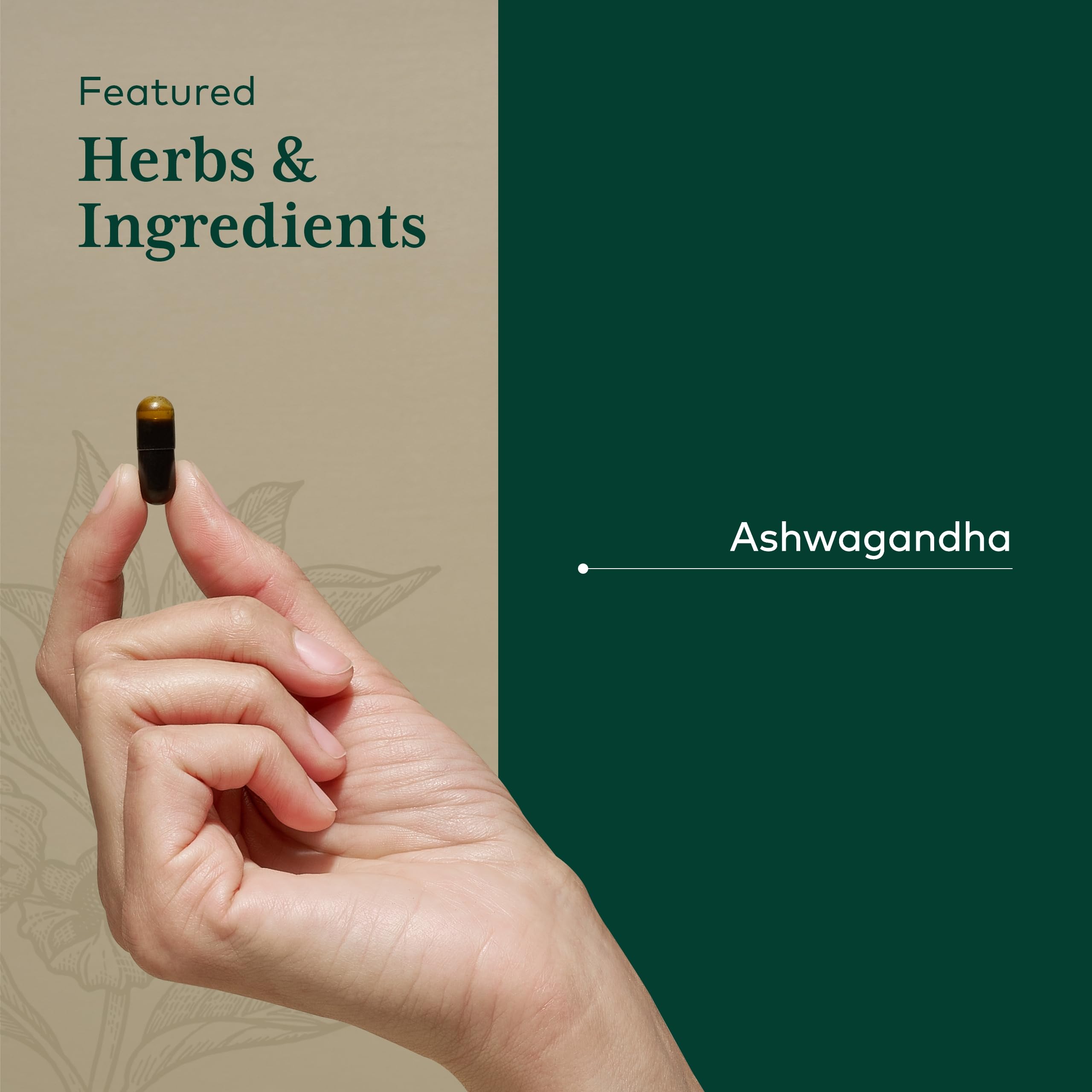Label close-up for GAIA Herbs PRO Ashwagandha 700