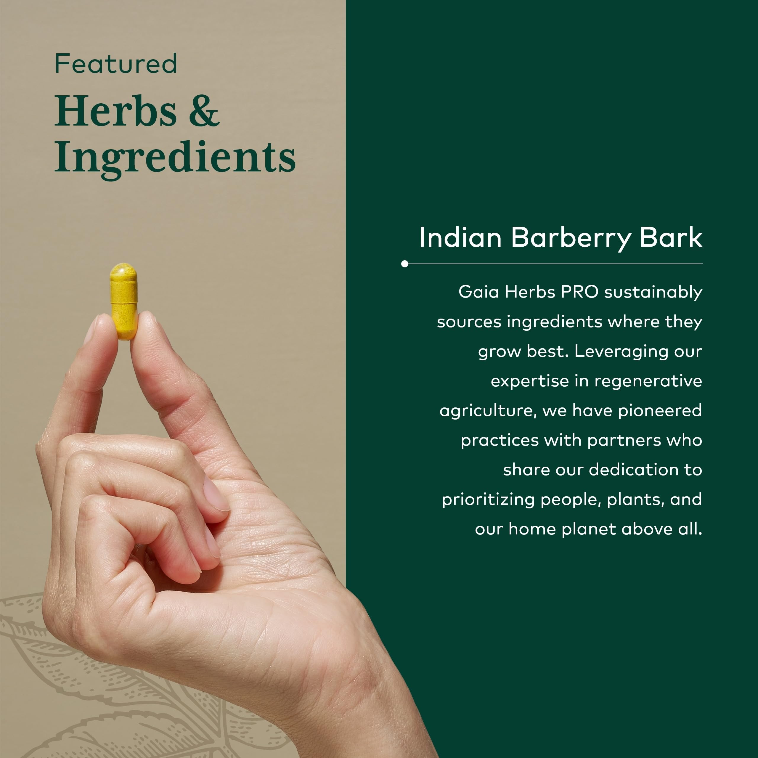 Vegan, Gluten-Free, Soy-Free icons on GAIA Herbs PRO packaging