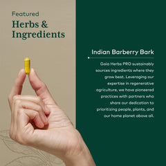 Vegan, Gluten-Free, Soy-Free icons on GAIA Herbs PRO packaging