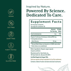 Close-up of Cordyceps mushroom capsules