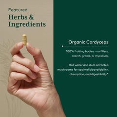 Hot water extraction symbol for Cordyceps bioavailability