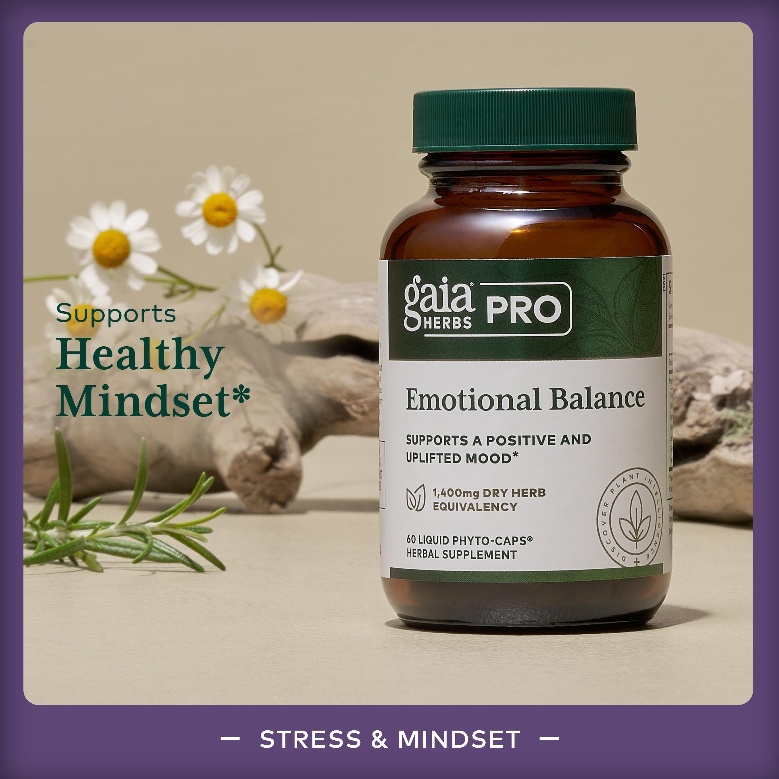 Vervain and oats in herbal blend for balance