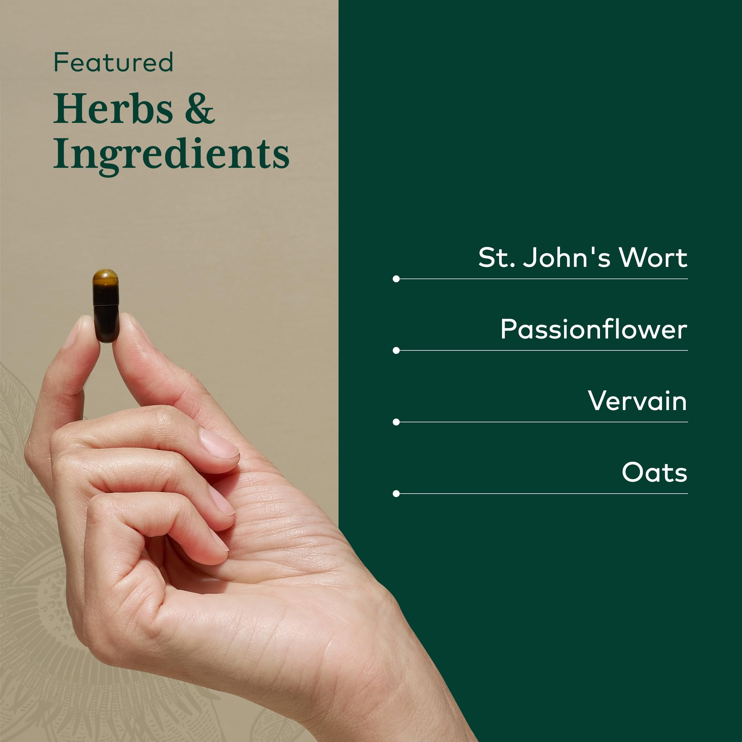 Schisandra, gotu kola, ginkgo, and rosemary in the formula