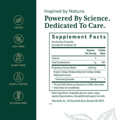 Close-up of Ginkgo biloba leaf extract capsules