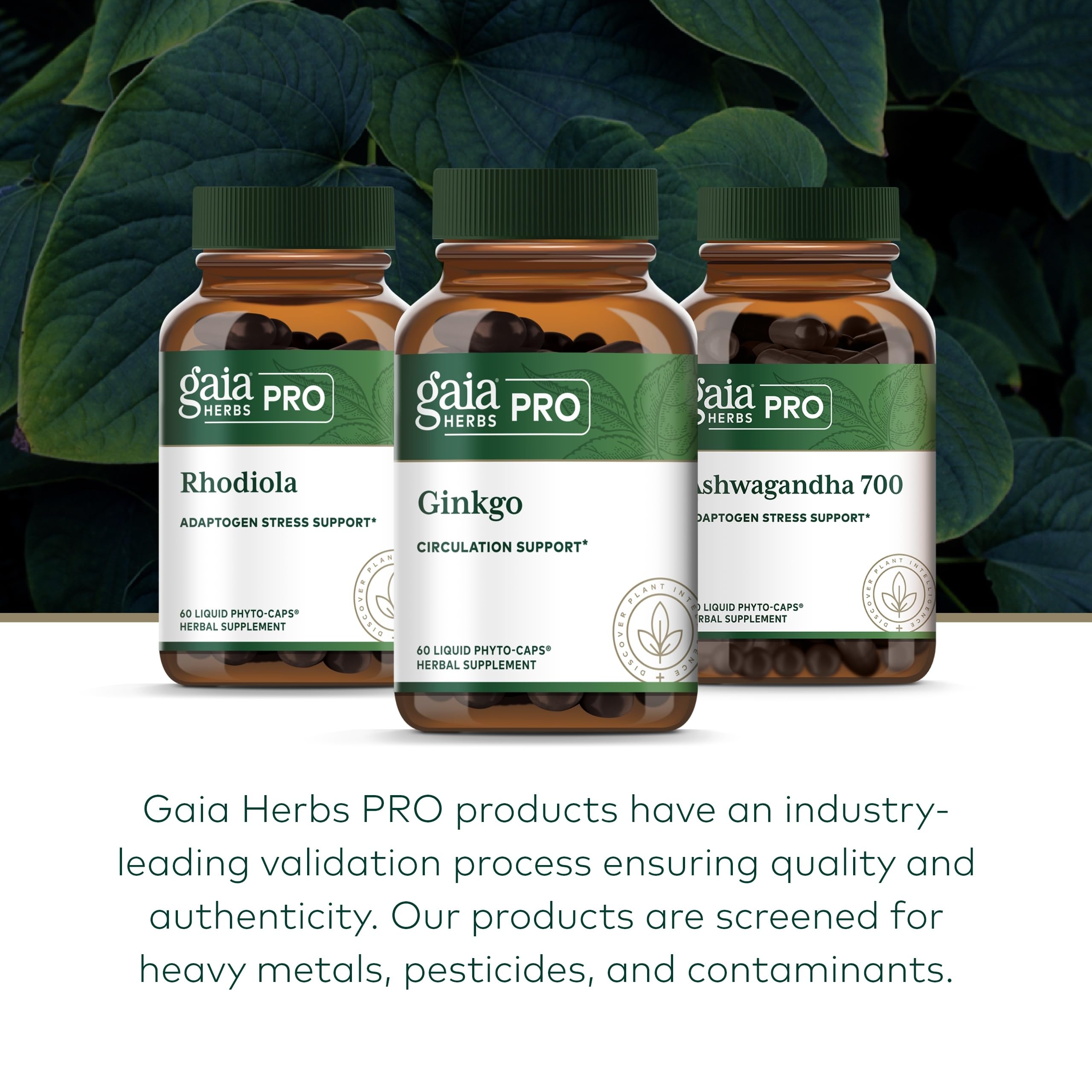 Regenerative Organic Certified farming field