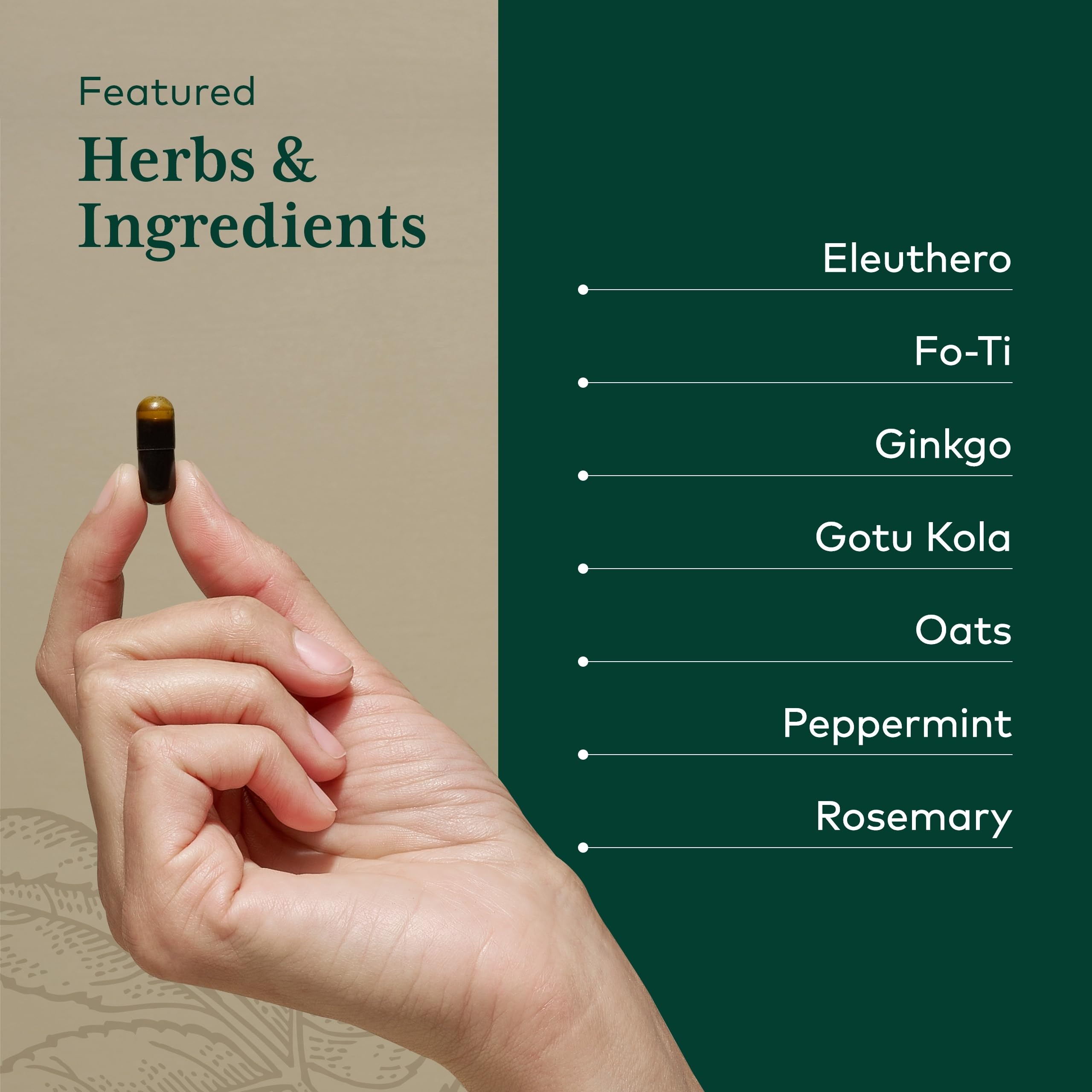 60 Liquid Phyto-Caps bottle