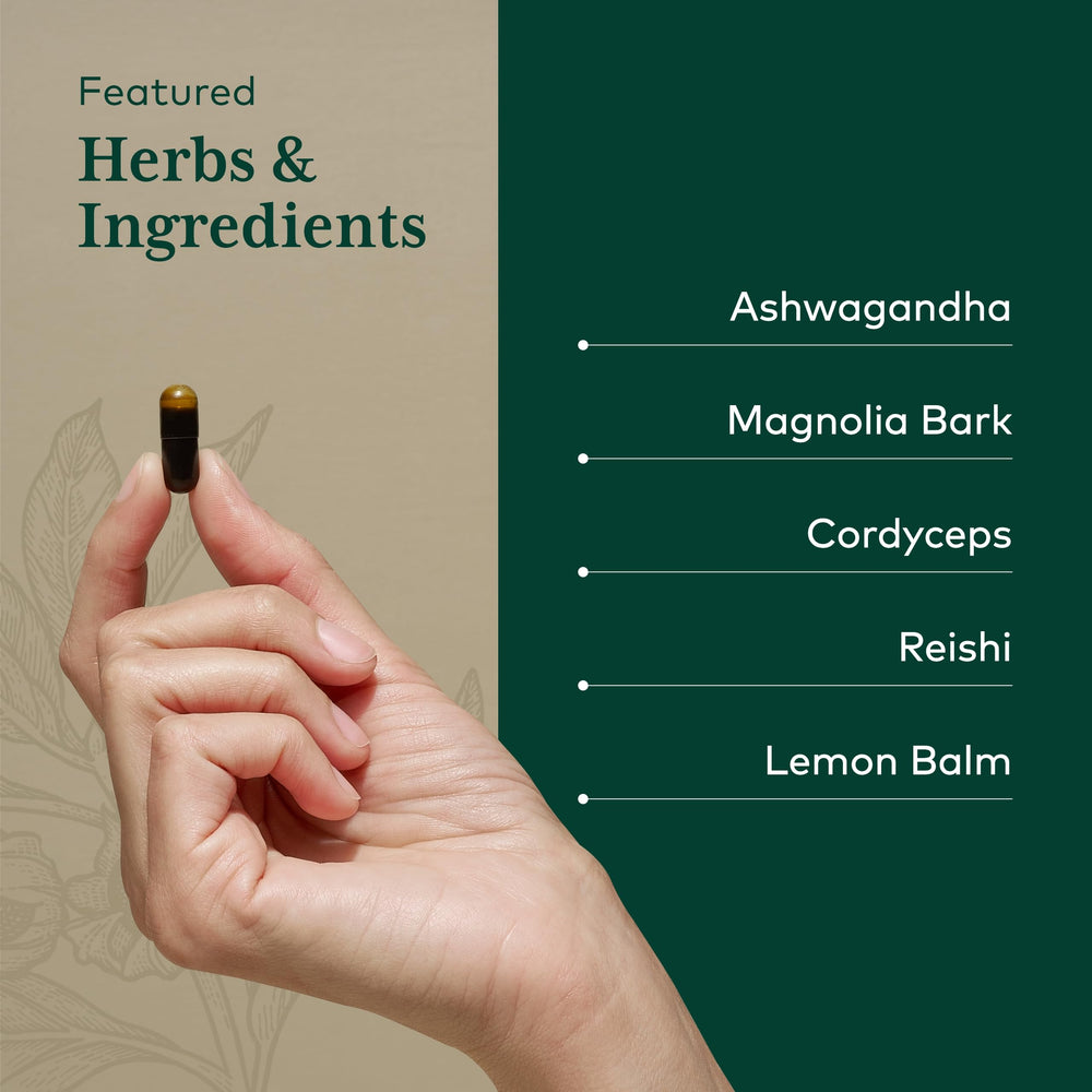 Magnolia bark and herbal ingredients displayed for sleep support