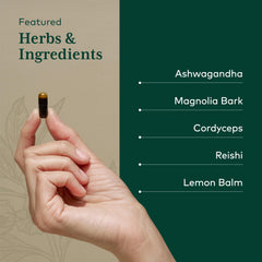 Magnolia bark and herbal ingredients displayed for sleep support