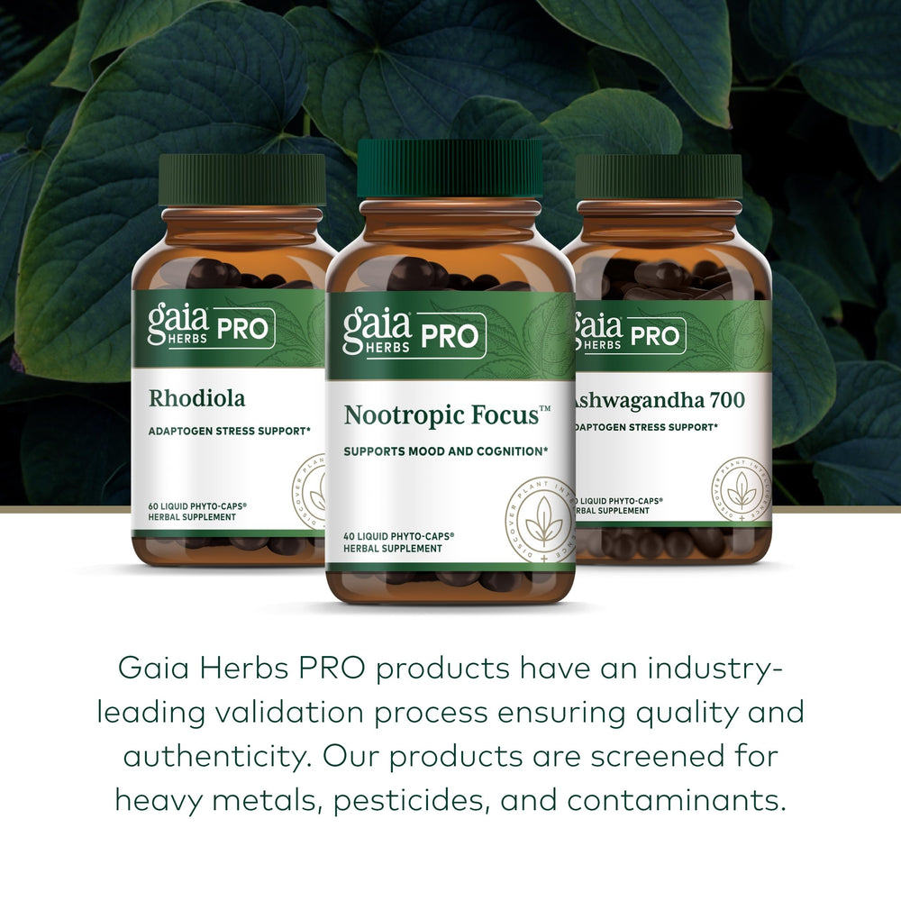 Lemon balm leaves used in GAIA Herbs PRO Nootropic Focus
