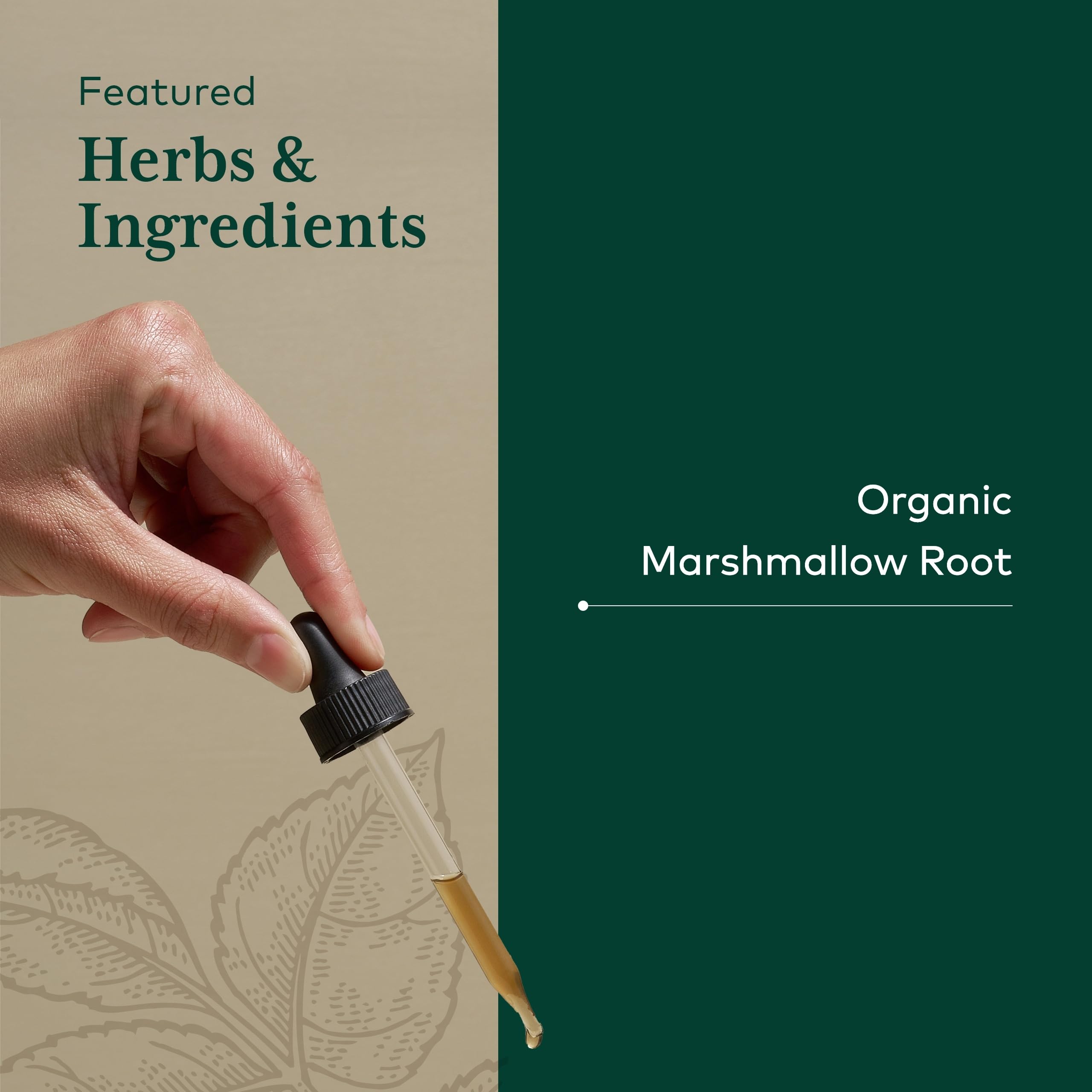 GAIA Herbs PRO bottle placed beside marshmallow root leaves