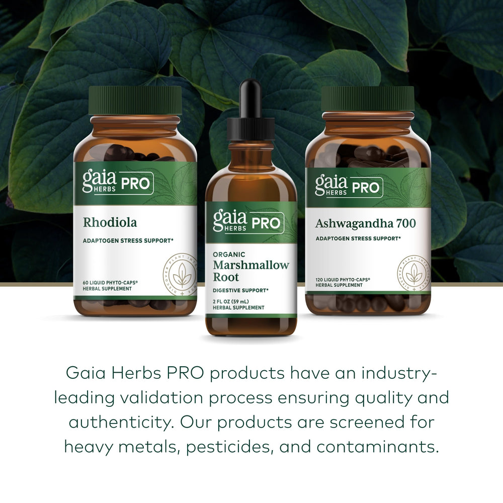 Lifestyle shot featuring GAIA Herbs PRO bottle with herbal ingredients