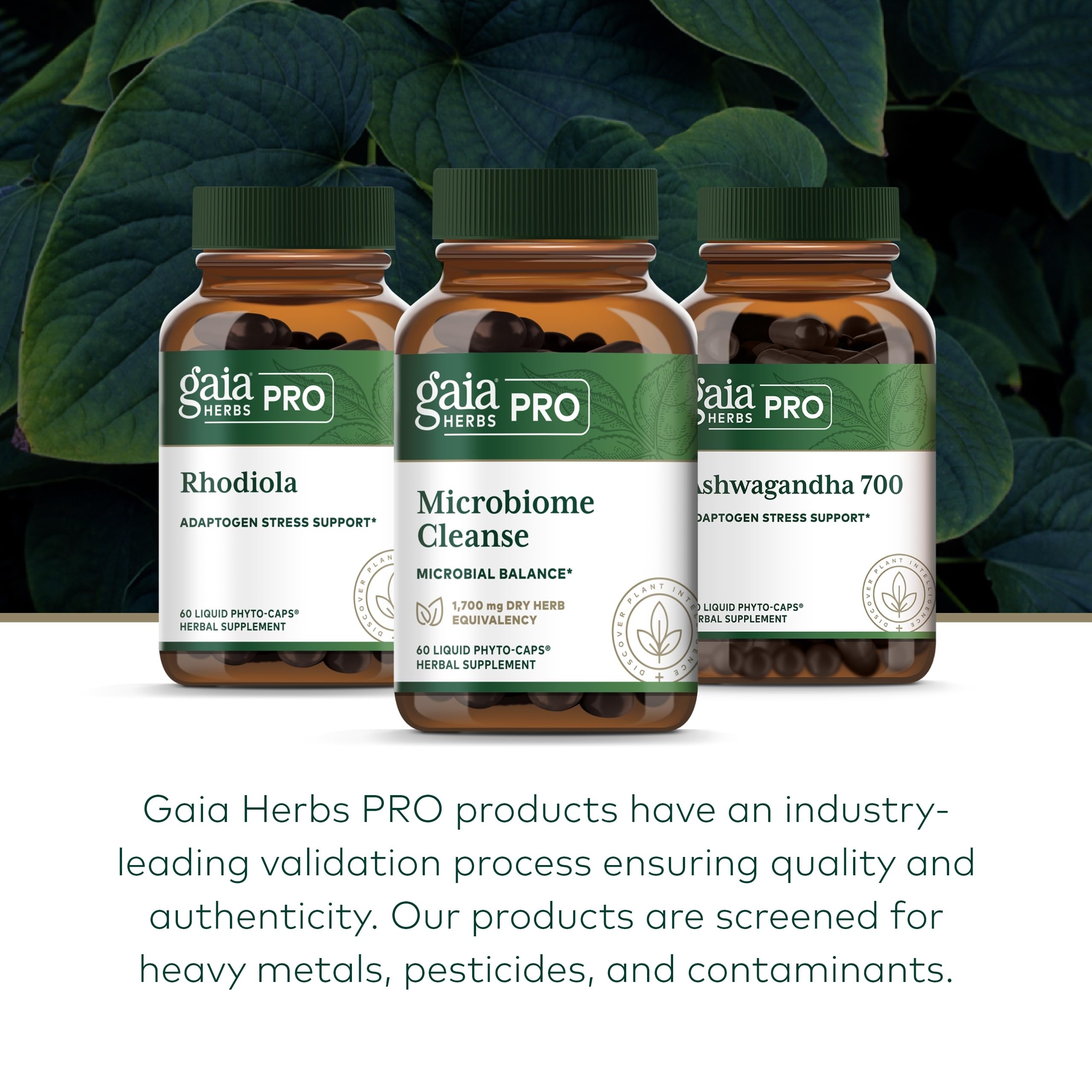 Gaia Herbs Pro lab testing visual highlights rigorous quality control.