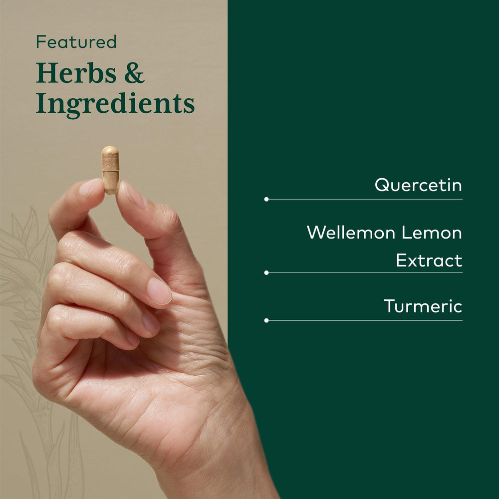 Seasonal immune support graphic