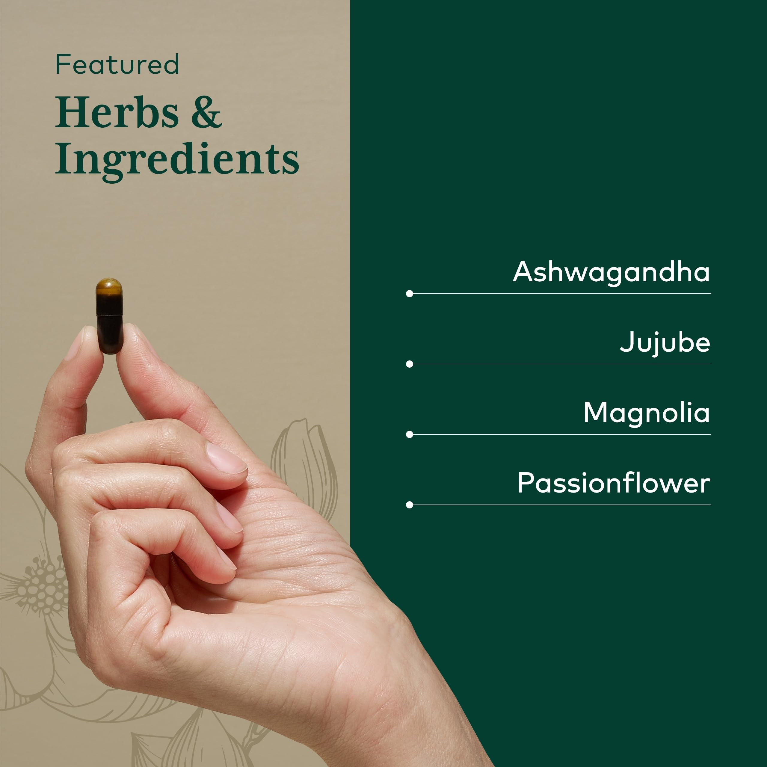 Jujube date fruit ingredient in Gaia Herbs PRO Sleep Maintenance