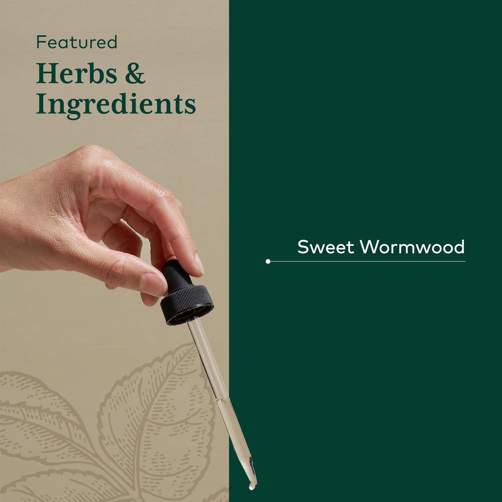 Organic sweet wormwood plant used in Gaia Herbs Pro