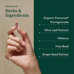 Grape seed and holy basil components featured