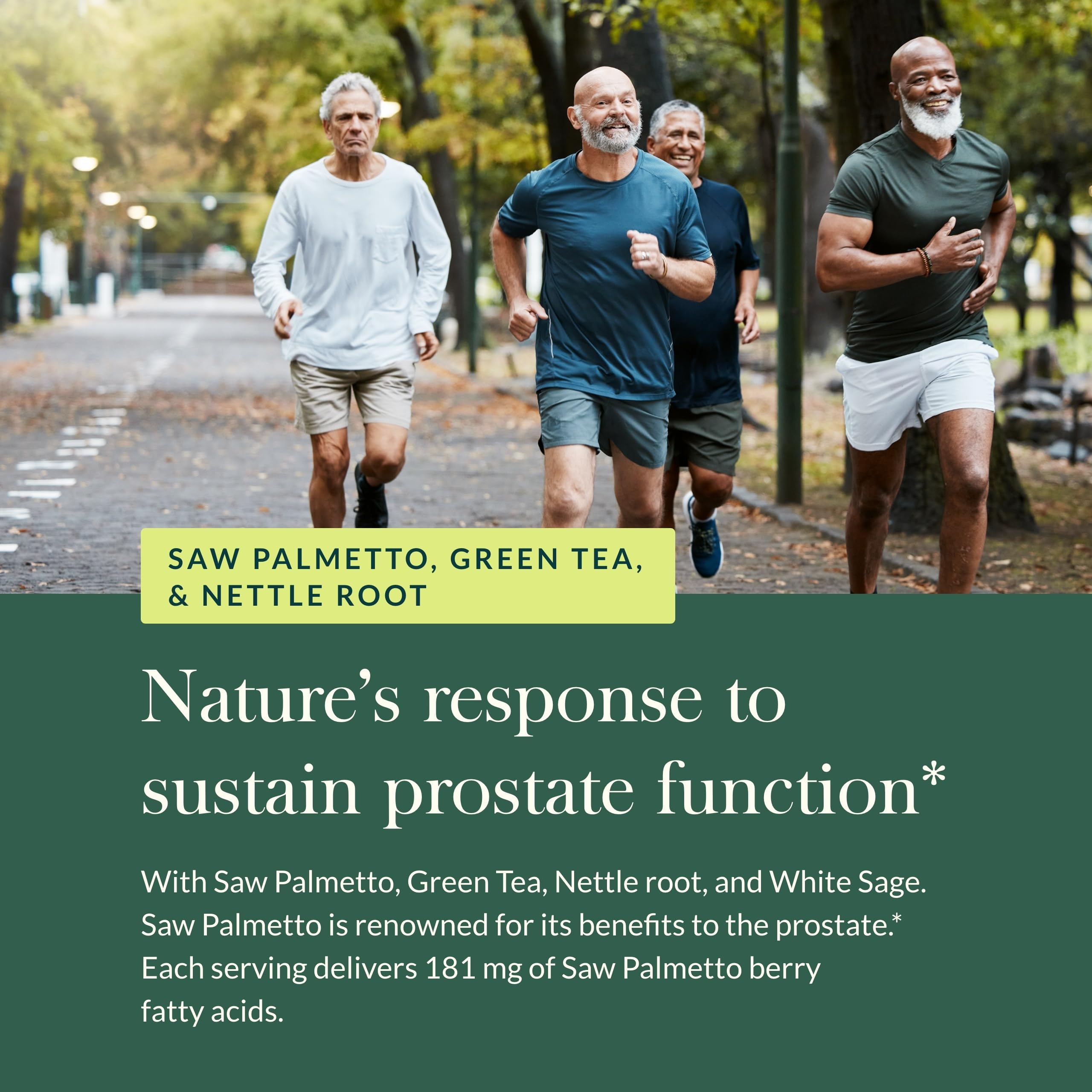 White sage leaves used in Gaia Herbs Prostate Health