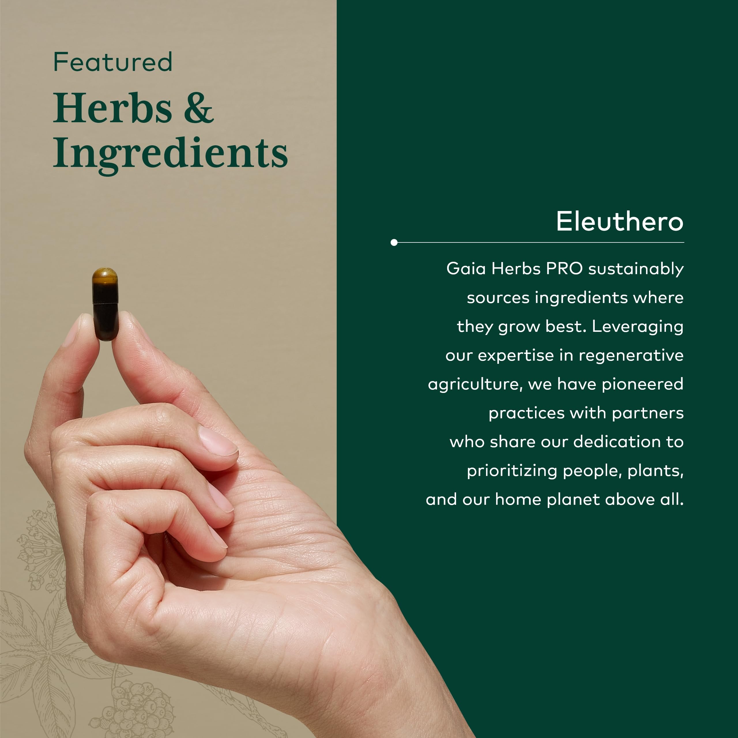 Quality testing and potency certification imagery
