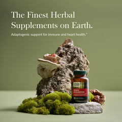 Close-up of Gaia Herbs Reishi Mushroom capsules
