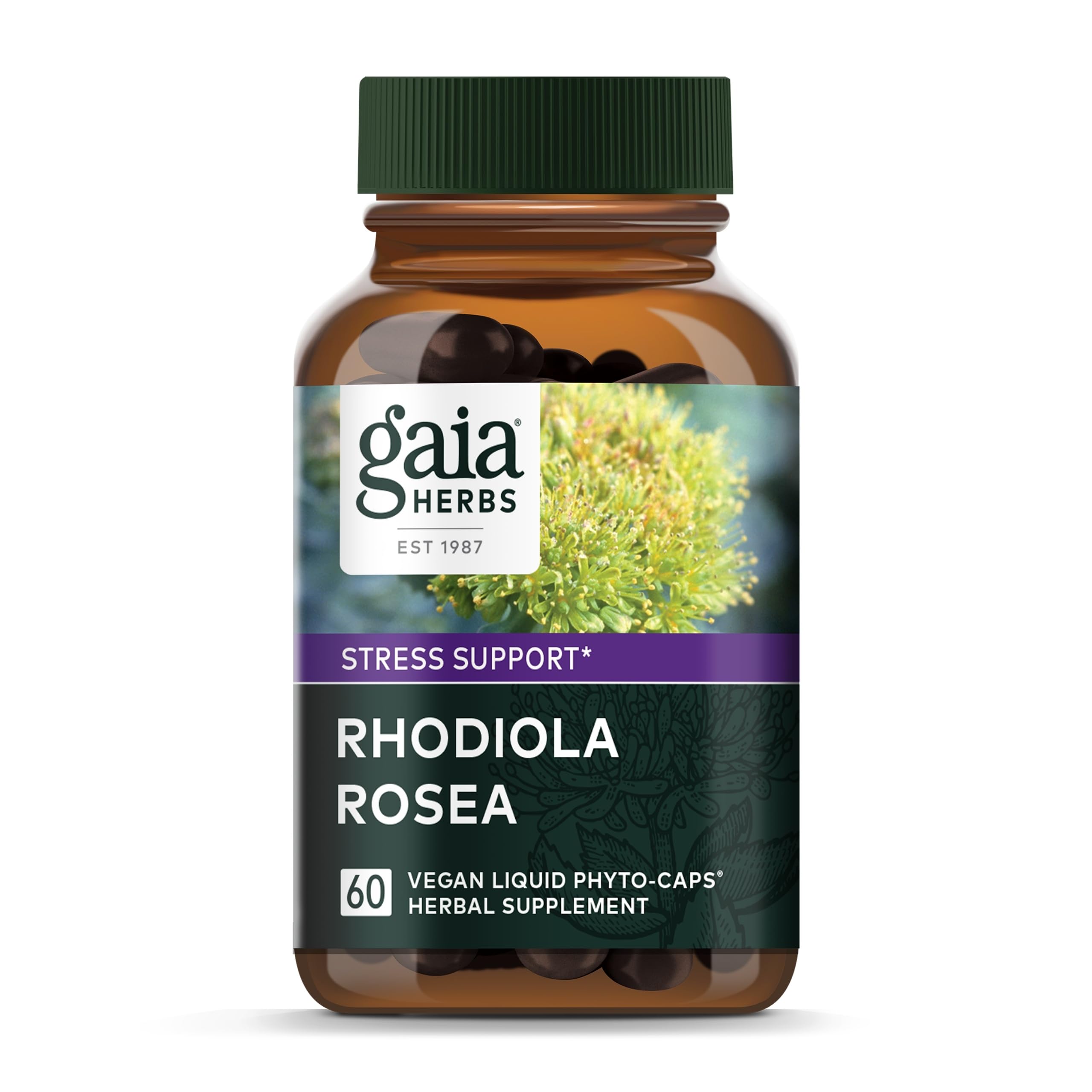 Gaia Herbs Rhodiola Rosea bottle with label