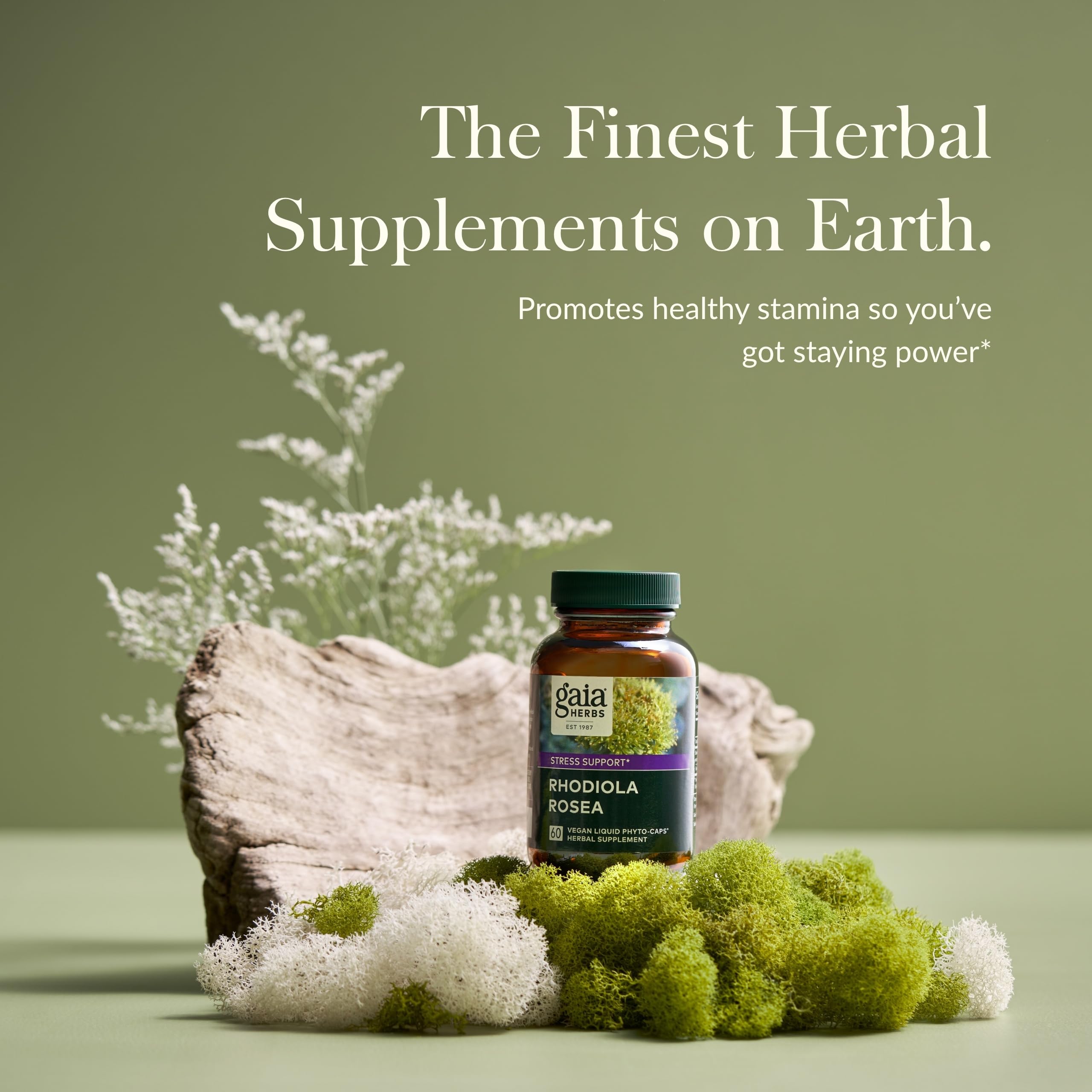 Close-up of 60 vegan liquid phyto-capsules