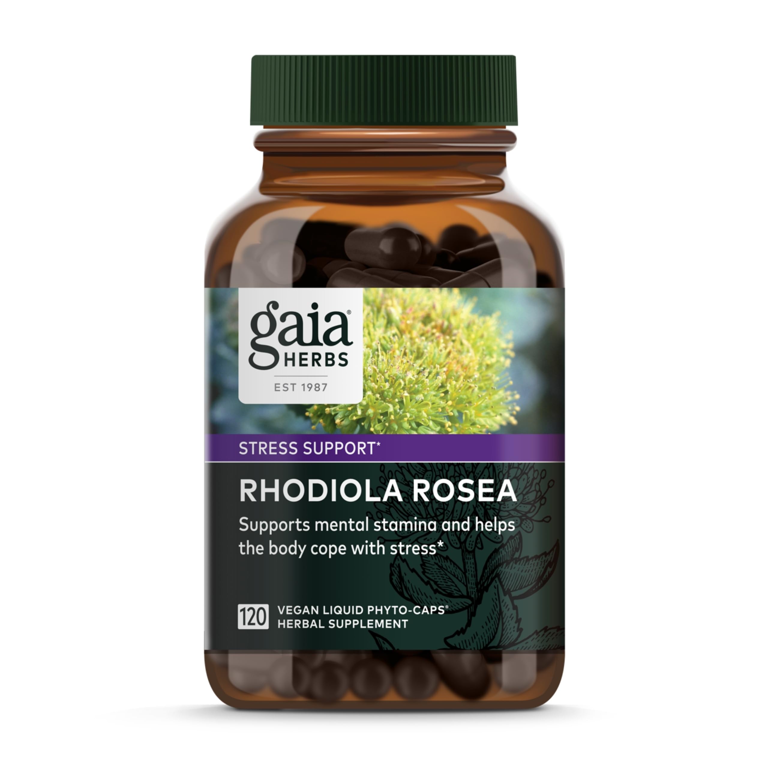 Hero image of Gaia Herbs Rhodiola Rosea Stress Support supplement