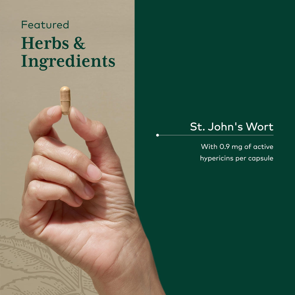 St. John's Wort capsules close-up