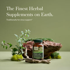 Close-up of organic nettle leaf extract