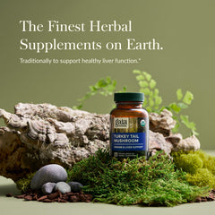 Close-up of Turkey Tail Mushroom vegan capsules