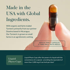 Turmeric Curcumin extract capsules