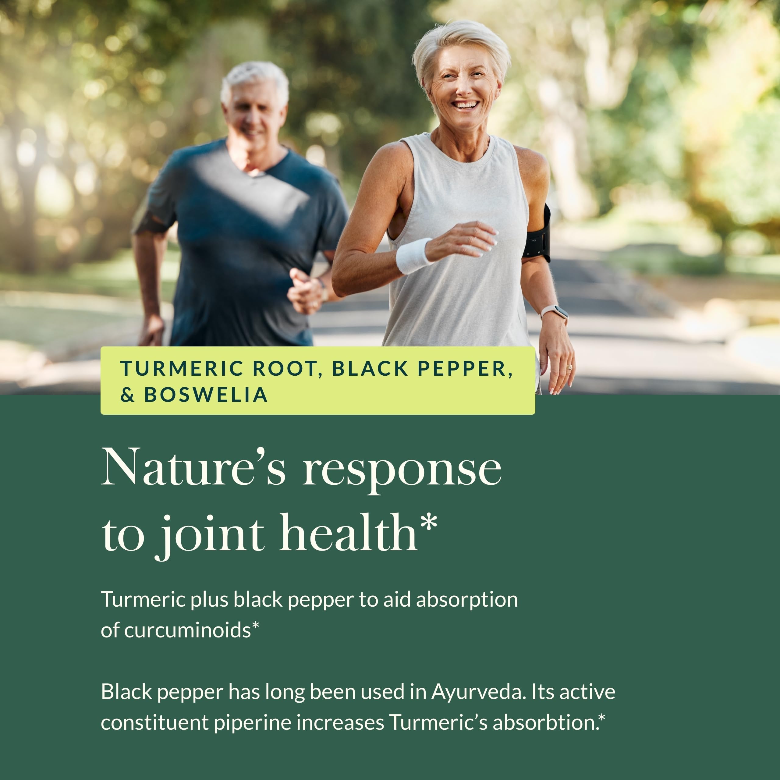 Ginger root, devil's claw, and quercetin for joint support